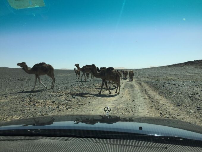 From Marrakech : Merzouga 3 Day Desert Tour With Camel Ride - Inclusions