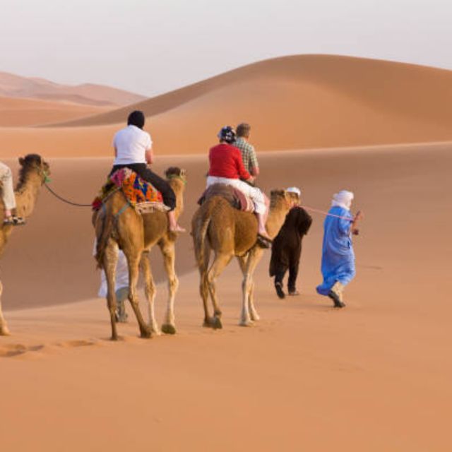 From Marrakech: Merzouga 3-Days Desert Safari With Food - Inclusions and Services
