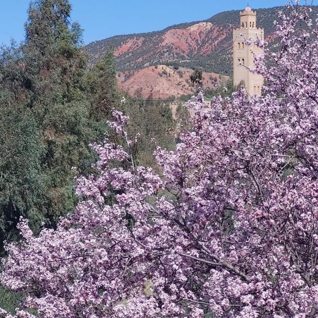 From Marrakech: Ouirgane Day Trip With Traditional Lunch - Scenic Drive to Ouirgane
