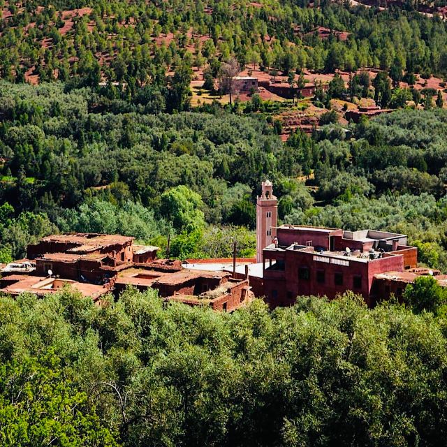 From Marrakech: Ouirgane Day Trip With Traditional Lunch - Hiking Through Ancient Forest