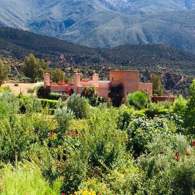 From Marrakech: Ouirgane Day Trip With Traditional Lunch - Discovering Local Culture and Cuisine