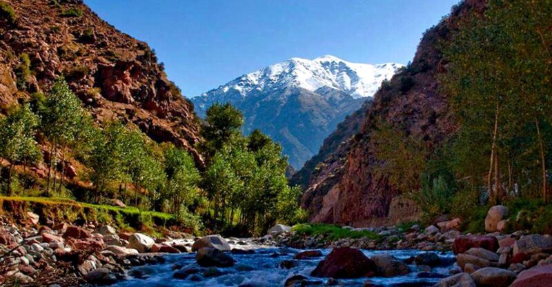 From Marrakech: Ourika Vallet Day Private Trip - Itinerary Highlights
