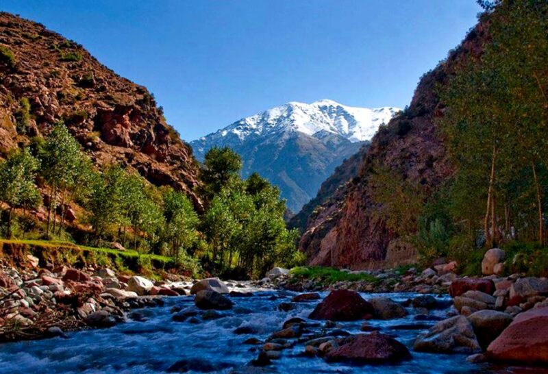 From Marrakech: Ourika Vallet Day Private Trip - Photogenic Landscapes