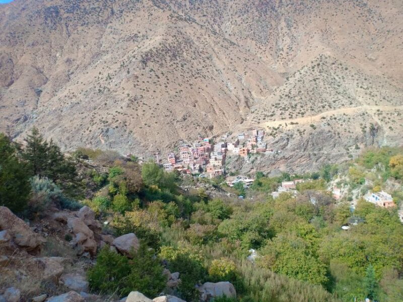 From Marrakech: Ourika Valley and Atlas Mountains Day Tour - Itinerary Highlights