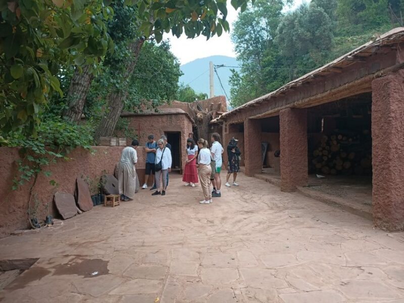 From Marrakech: Ourika Valley and Atlas Mountains Day Tour - Transportation and Inclusions