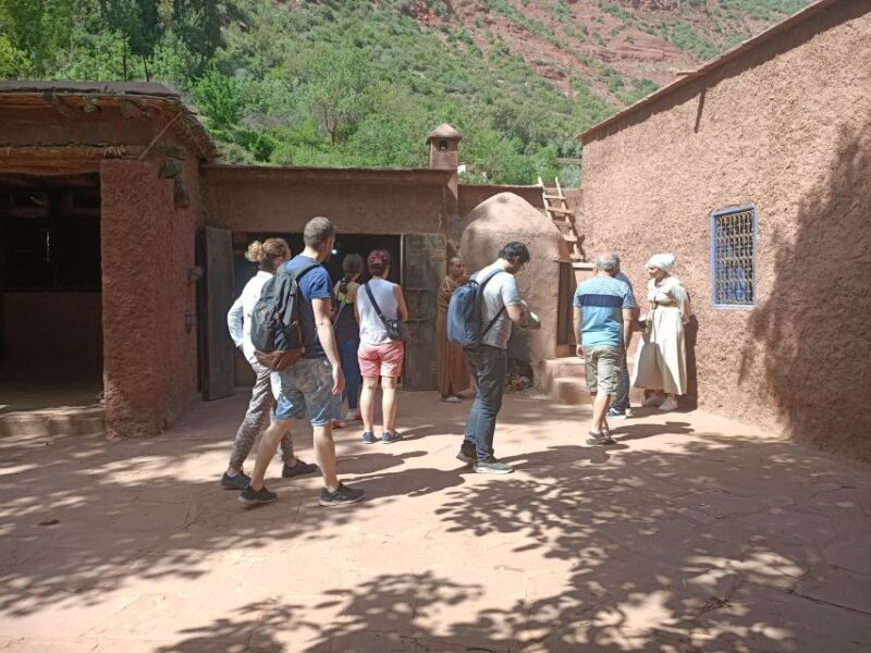 From Marrakech: Ourika Valley and Atlas Mountains Day Tour - Tour Details