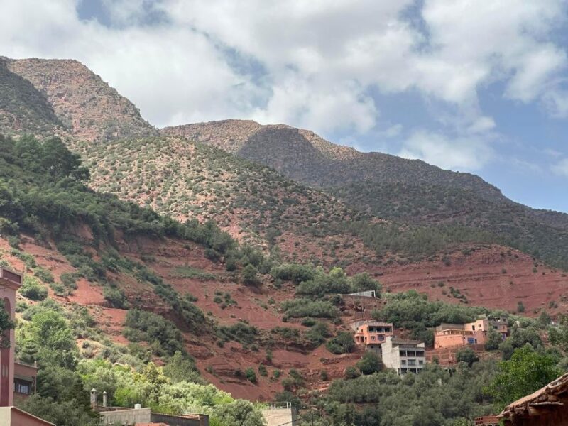 From Marrakech: Ourika Valley and Waterfalls Day Trip - Accessibility and Accommodations