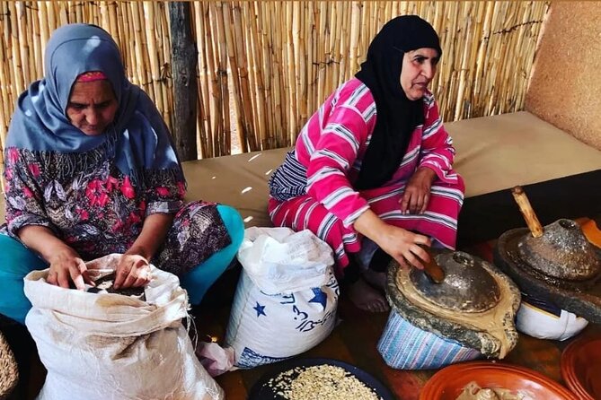 From Marrakech: Ourika Valley, Atlas, Waterfalls & Guide - Accessibility Considerations