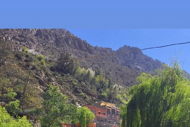 From Marrakech: Ourika Valley, Atlas, Waterfalls & Guide - Tour Reviews