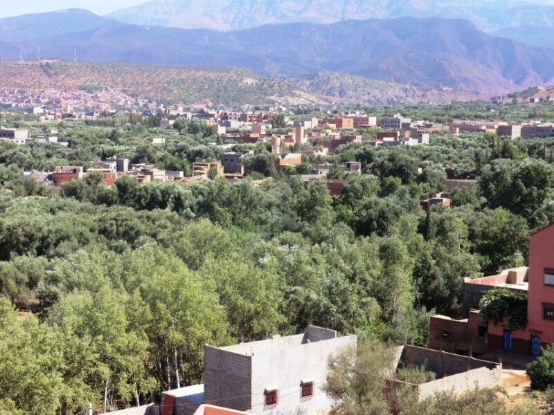 From Marrakech: Ourika Valley Day Trip With Hotel Transfer - Itinerary Highlights
