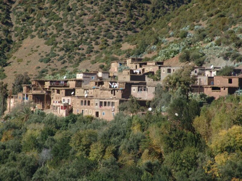 From Marrakech: Ourika Valley Day Trip With Hotel Transfer - Transportation and Accessibility