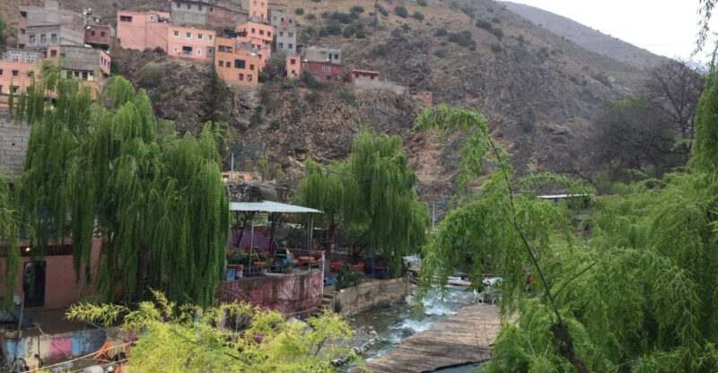From Marrakech: Ourika Valley Day Trip With Lunch - Transportation and Guide