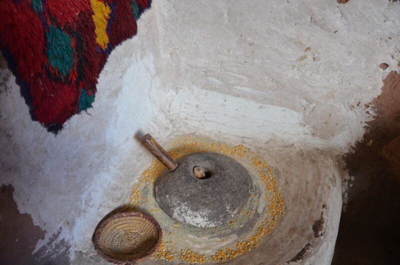 From Marrakech: Ourika Valley Day Trip With Lunch - Experience and Cultural Interaction
