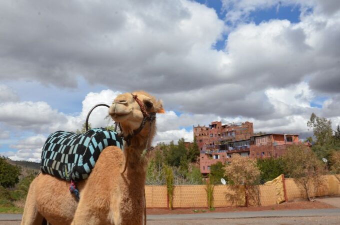From Marrakech: Ourika Valley Day Trip With Lunch - Frequently Asked Questions