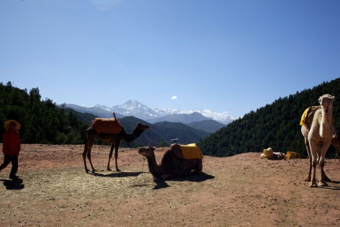 From Marrakech: Ourika Valley Full-Day Trip - Trip Details