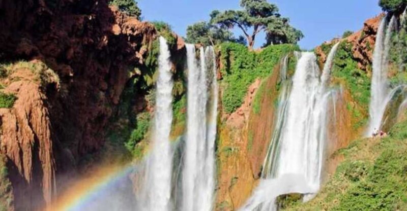 From Marrakech: Ouzoud Waterfalls Day Trip and Boat Ride - Experience Highlights