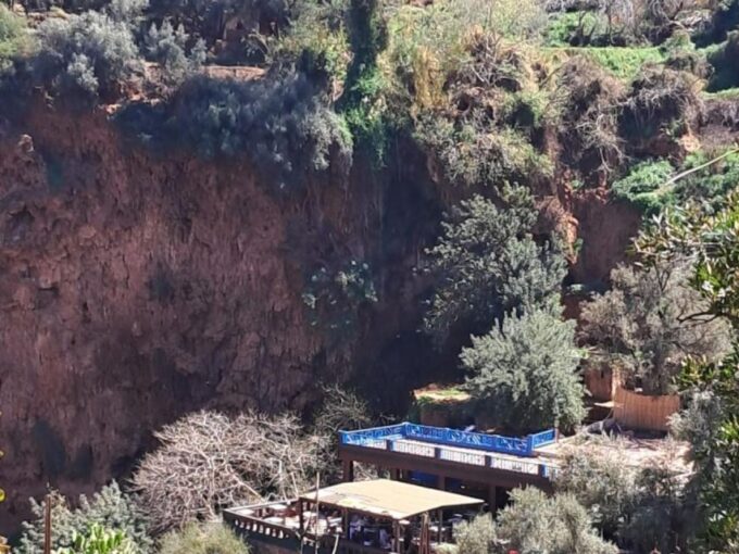 From Marrakech: Ouzoud Waterfalls Day Trip With Boat Tour - Customer Feedback