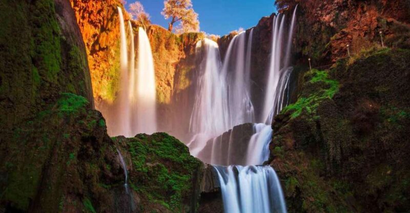 From Marrakech: Ouzoud Waterfalls Full-Day Private Trip - Itinerary Highlights