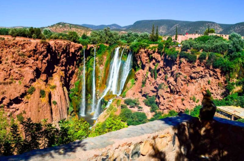 From Marrakech: Ouzoud Waterfalls Guided and Boat Ride - Return Trip and Experiences