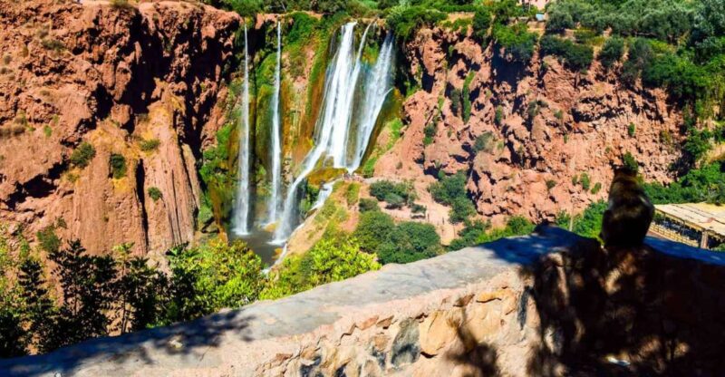 From Marrakech: Ouzoud Waterfalls Guided Hike and Boat Tour - Preparation and Important Information