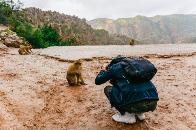 From Marrakech: Ouzoud Waterfalls Guided Hike and Boat Trip - Frequently Asked Questions