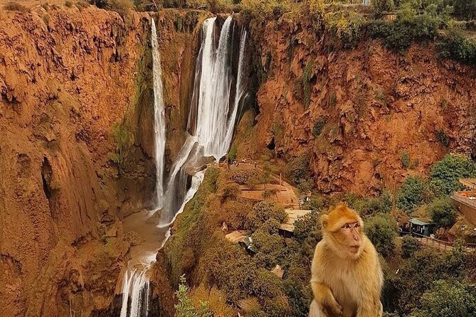 From Marrakech: Ouzoud Waterfalls Guided Hike and Boat Trip - Booking and Pricing