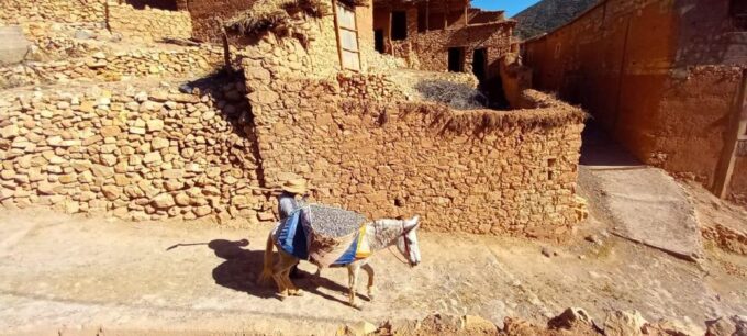 From Marrakech : Ouzoud Waterfalls Guided Hike & Boat Ride - Tour Duration