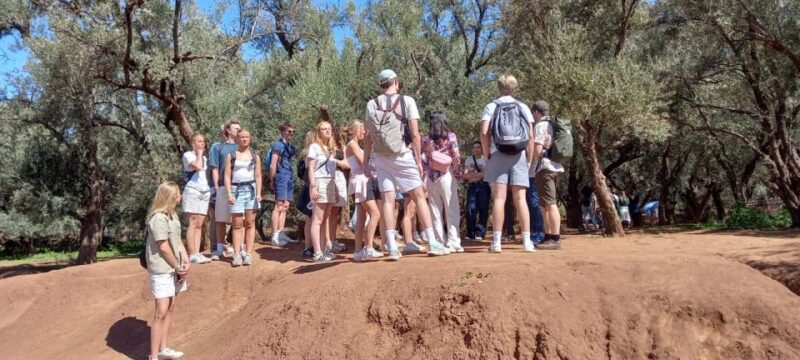From Marrakech: Ouzoud Waterfalls Guided Tour and Boat Trip - Customer Ratings and Feedback