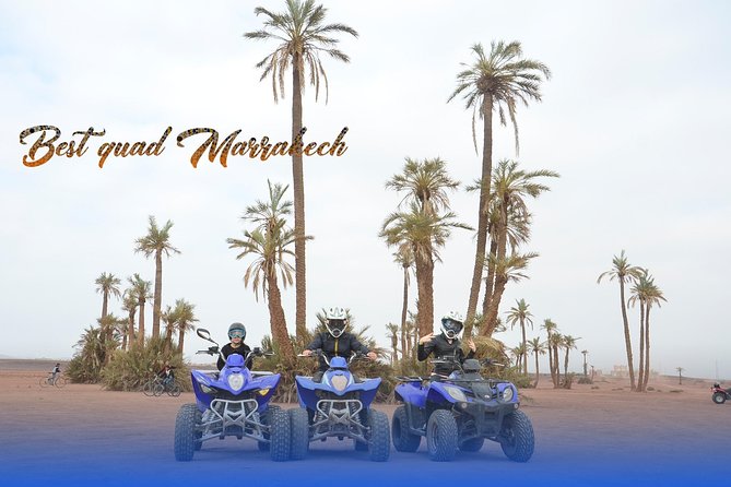 From Marrakech: Palm Grove Quad Bike and Camel Ride Tour - Customer Reviews