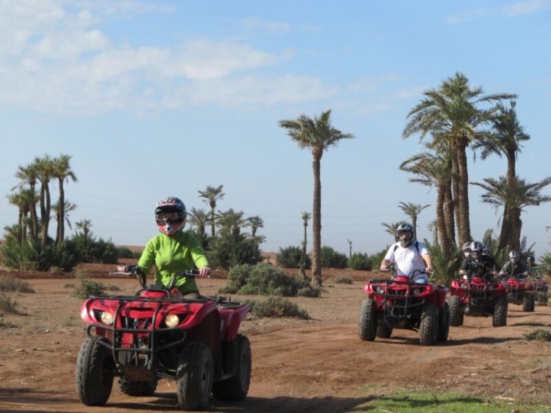 From Marrakech : Palm Grove Quad Bike Tour - Itinerary Details