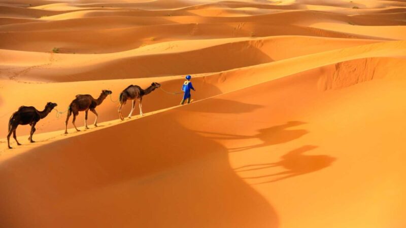 From Marrakech : Private 3-Day Desert Safari To Merzouga - Itinerary Highlights