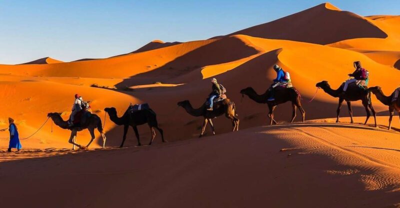 From Marrakech: Private 3-Day Desert Trip to Merzouga - Itinerary Highlights