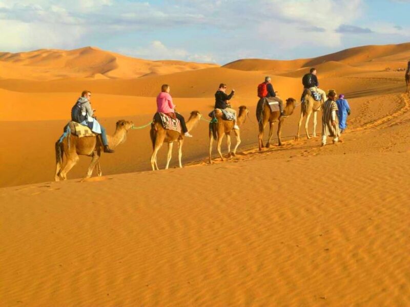 From Marrakech: Private 3-Day Tour to Fes via Merzouga - Day 3: Merzouga to Fes