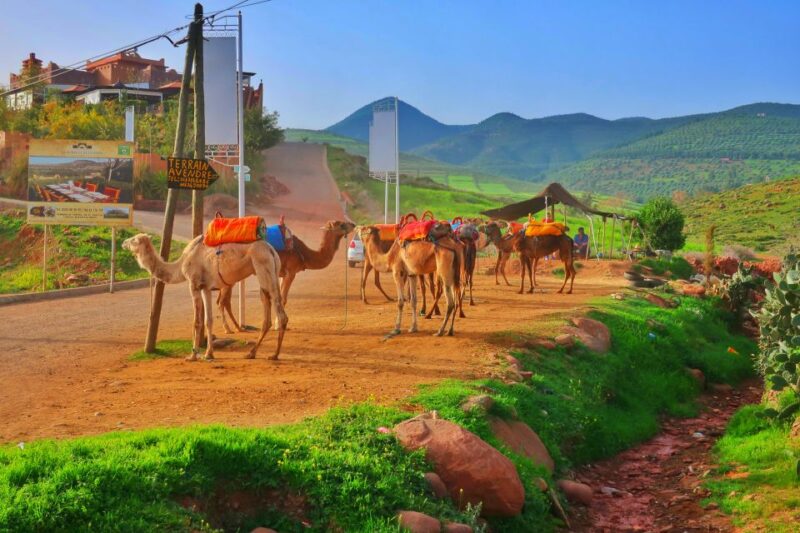 From Marrakech: Private Atlas Mountains Day Trip - Itinerary Highlights