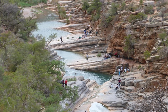 From Marrakech : Private Day Trip Ourika Valley - Customer Testimonials and Experiences