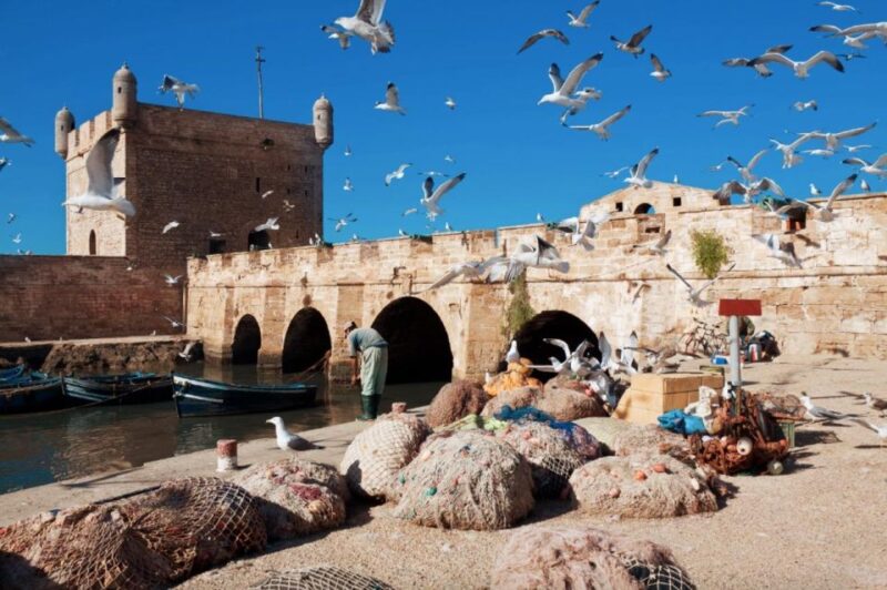 From Marrakech: Private Day Trip To Essaouira Mogador - Key Points