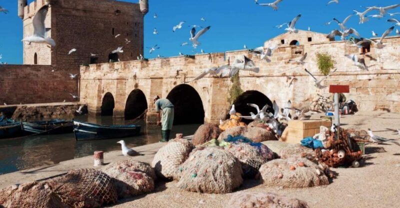 From Marrakech: Private Day Trip To Essaouira Mogador - Exploring the UNESCO-listed Medina