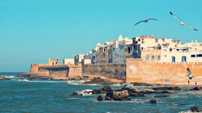From Marrakech: Private Day Trip To Essaouira Mogador - Indulging in Seafood Delights