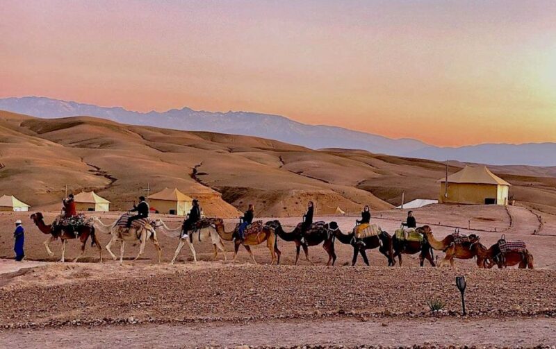 From Marrakech :Sunset Camel Ride in Agafay Desert - Key Points