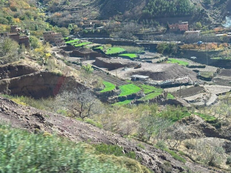 From Marrakech: Taoudja Summit Hike in the Atlas Mountain - Key Points
