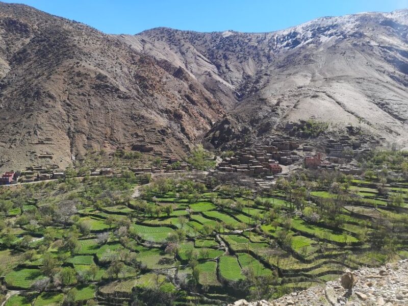 From Marrakech: Taoudja Summit Hike in the Atlas Mountain - Itinerary Details