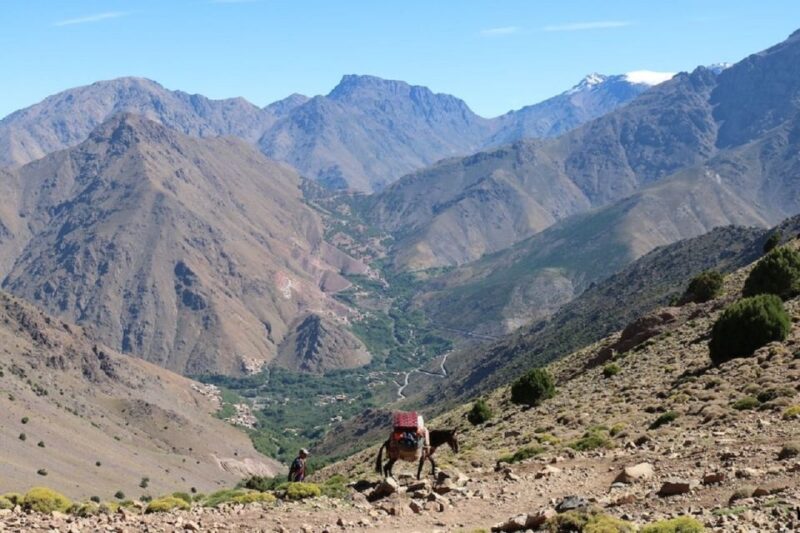 From Marrakech: Taoudja Summit Hike in the Atlas Mountain - Group Experience