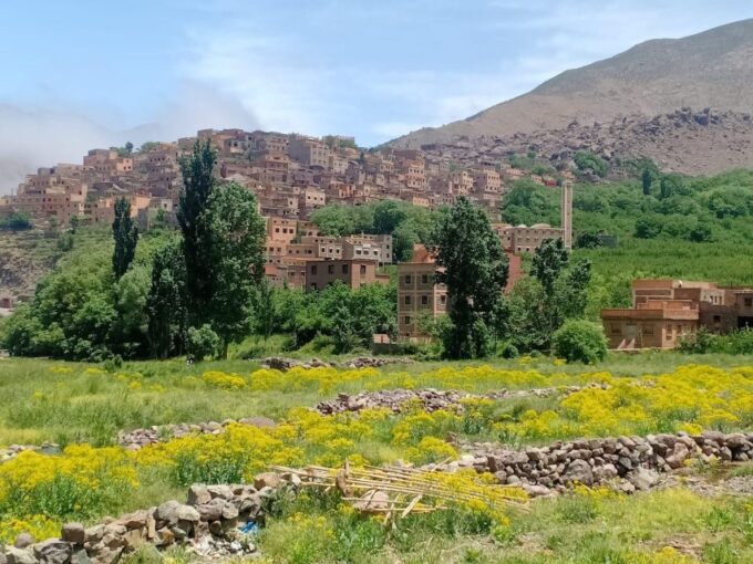 From Marrakech: Taoudja Summit Hike in the Atlas Mountain - Customer Feedback