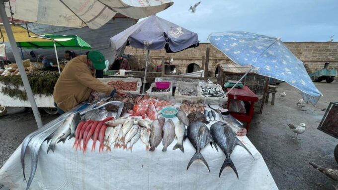 From Marrakech to Essaouira Coast Day Tour - Packing and Recommendations