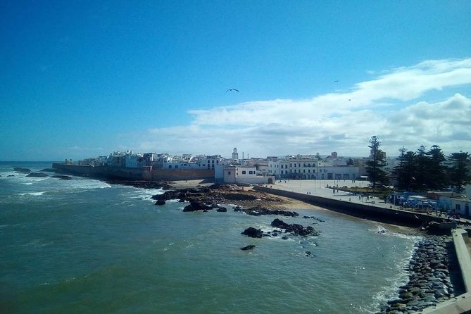 From Marrakech To Essaouira Mogador Full Day Trip | Small-group - Pricing and Offers