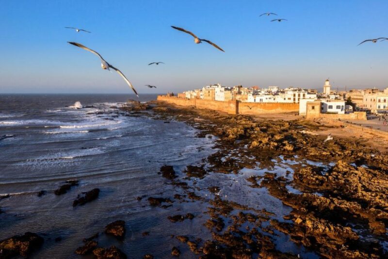From Marrakech to Essaouira Private Full Day Trip - Transportation and Guide