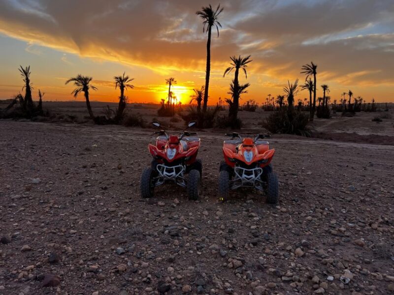 From Marrakech Tours: 2 Hours Desert Quad Bike Adventure - Highlights and Features