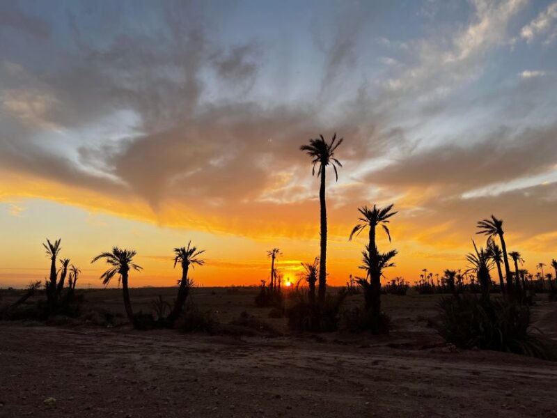 From Marrakech Tours: 2 Hours Desert Quad Bike Adventure - Important Information and Requirements