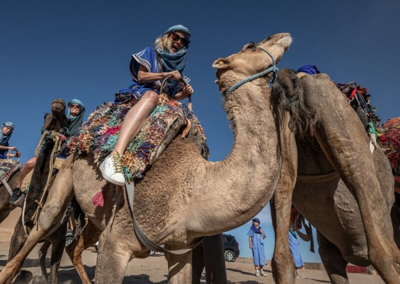 From Marrakech: VIP Agafay Desert & Oasis Camel Experience - Key Points