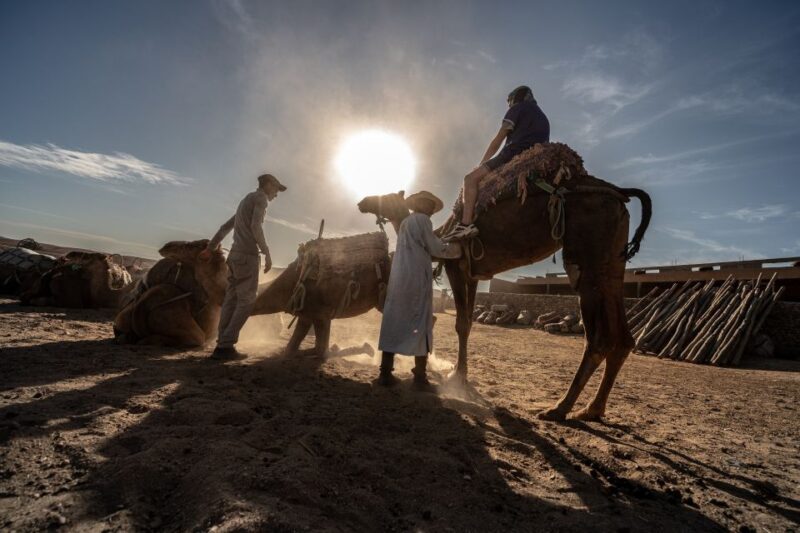 From Marrakech: VIP Agafay Desert & Oasis Camel Experience - Transportation and Pickup